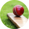 Cricket